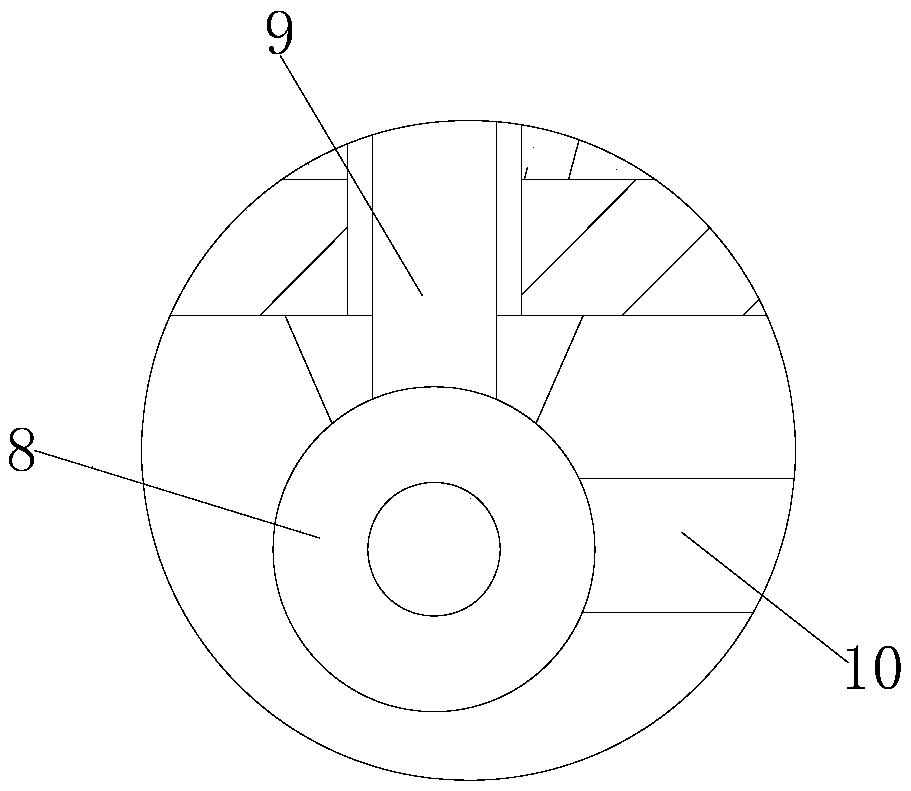 Bacillus drying device