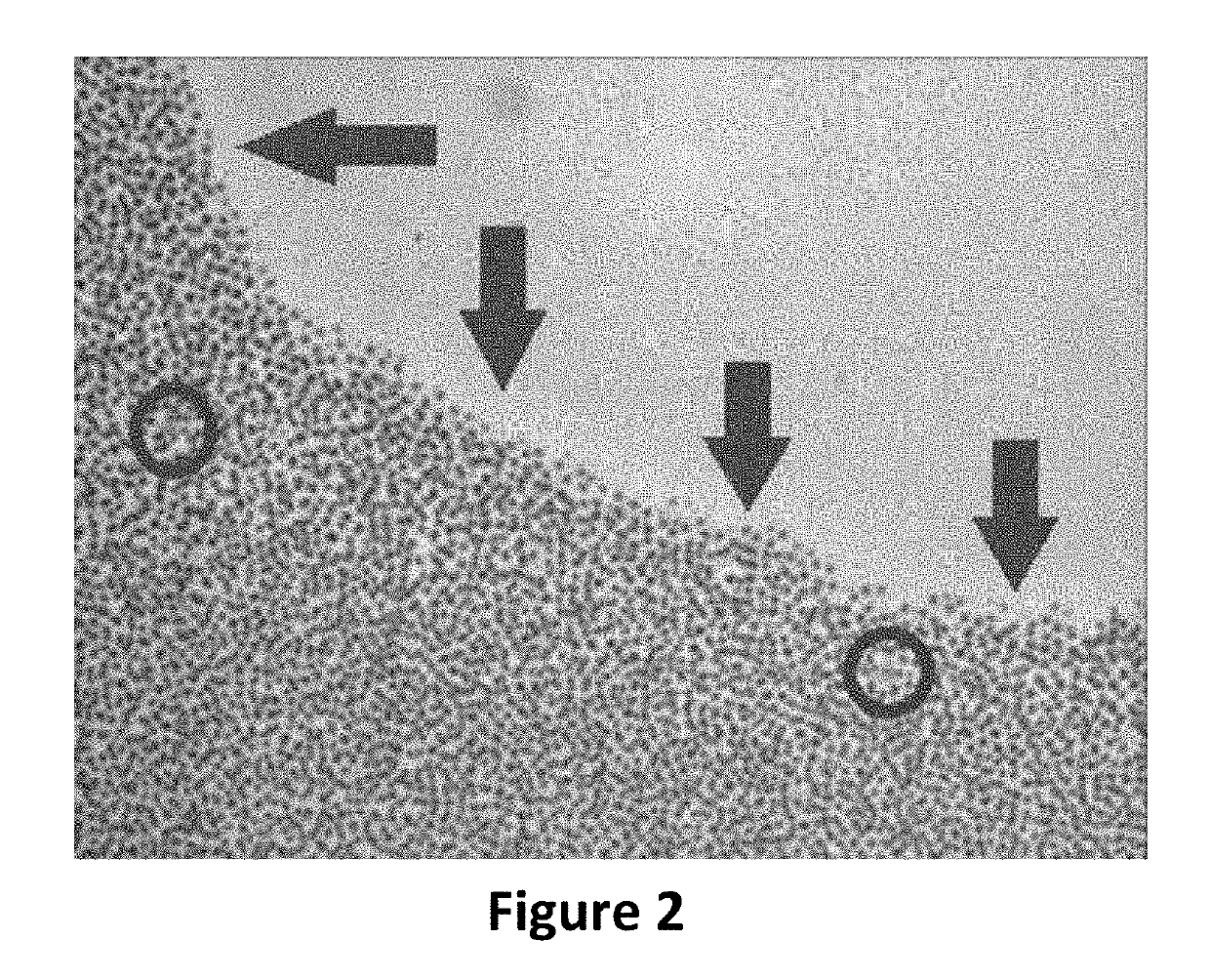 Protocol for the cryopreservation of high-viscosity biological samples