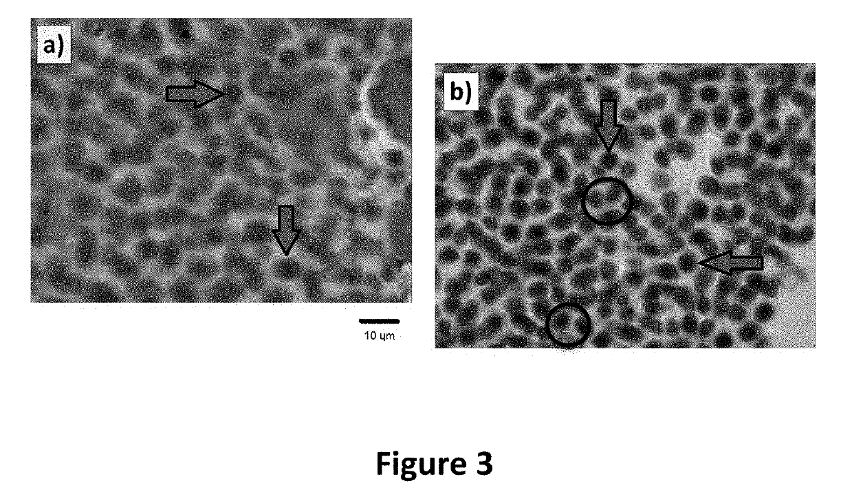 Protocol for the cryopreservation of high-viscosity biological samples