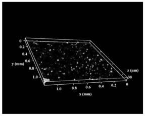 Method for rapidly preparing multi-dimensional fluorescent nanoparticles and quantitatively characterizing dynamic dispersion state of multi-dimensional fluorescent nanoparticles in situ