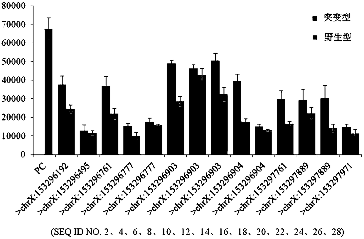 GRNA targeted to RNA of Rett mutation gene, and detection method and detection kit for the Rett mutation gene