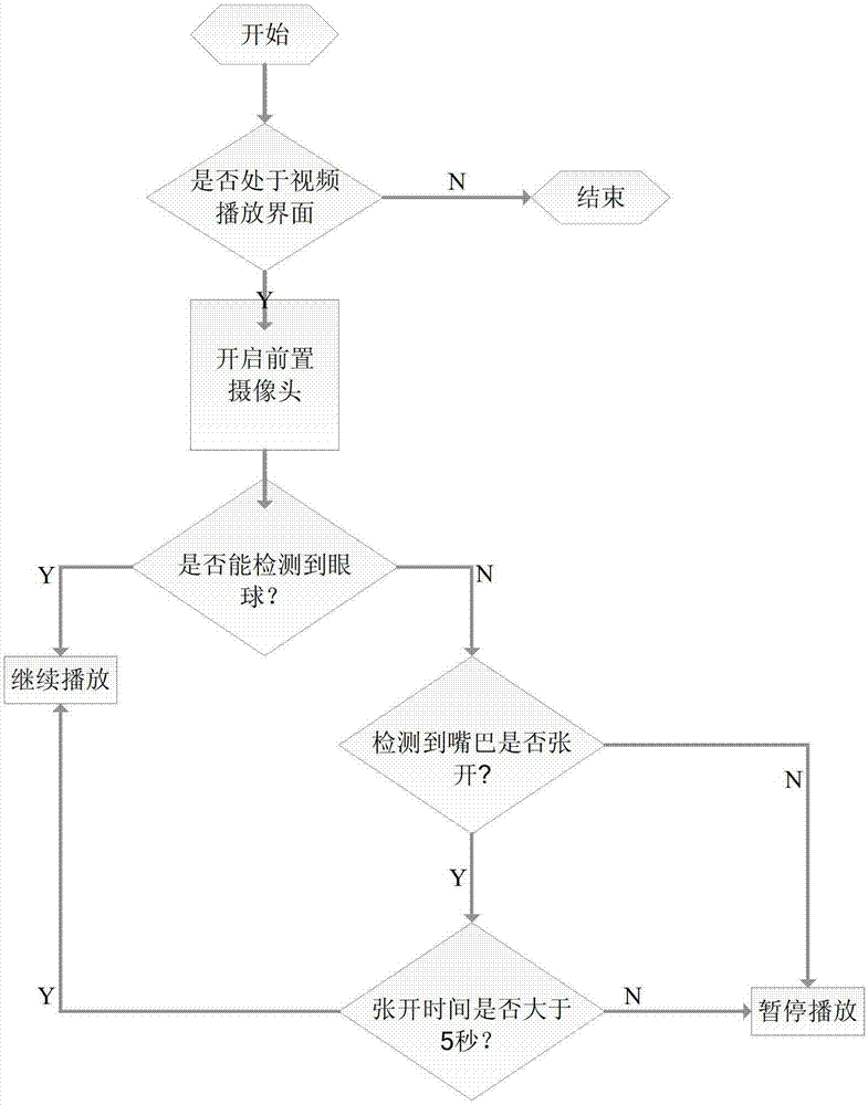 Control system and method for video playback and pause by detecting eye gaze point