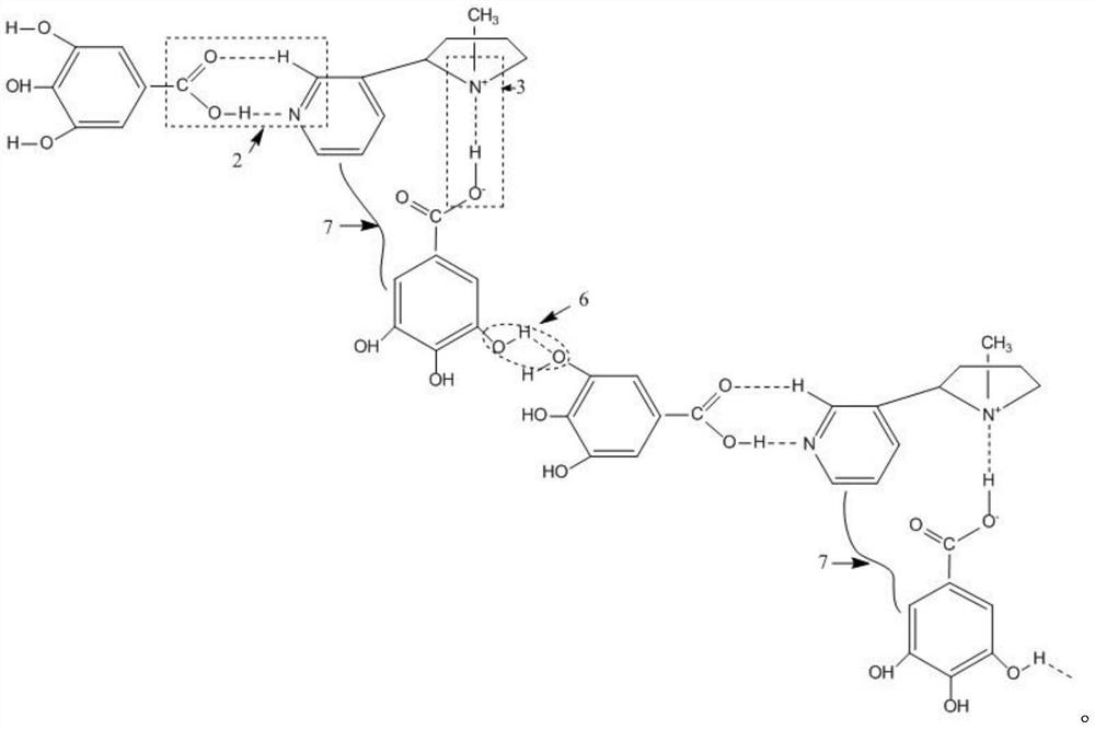 Fragrance-carrying supramolecular gel based on gallic acid nicotine salt gelling agent