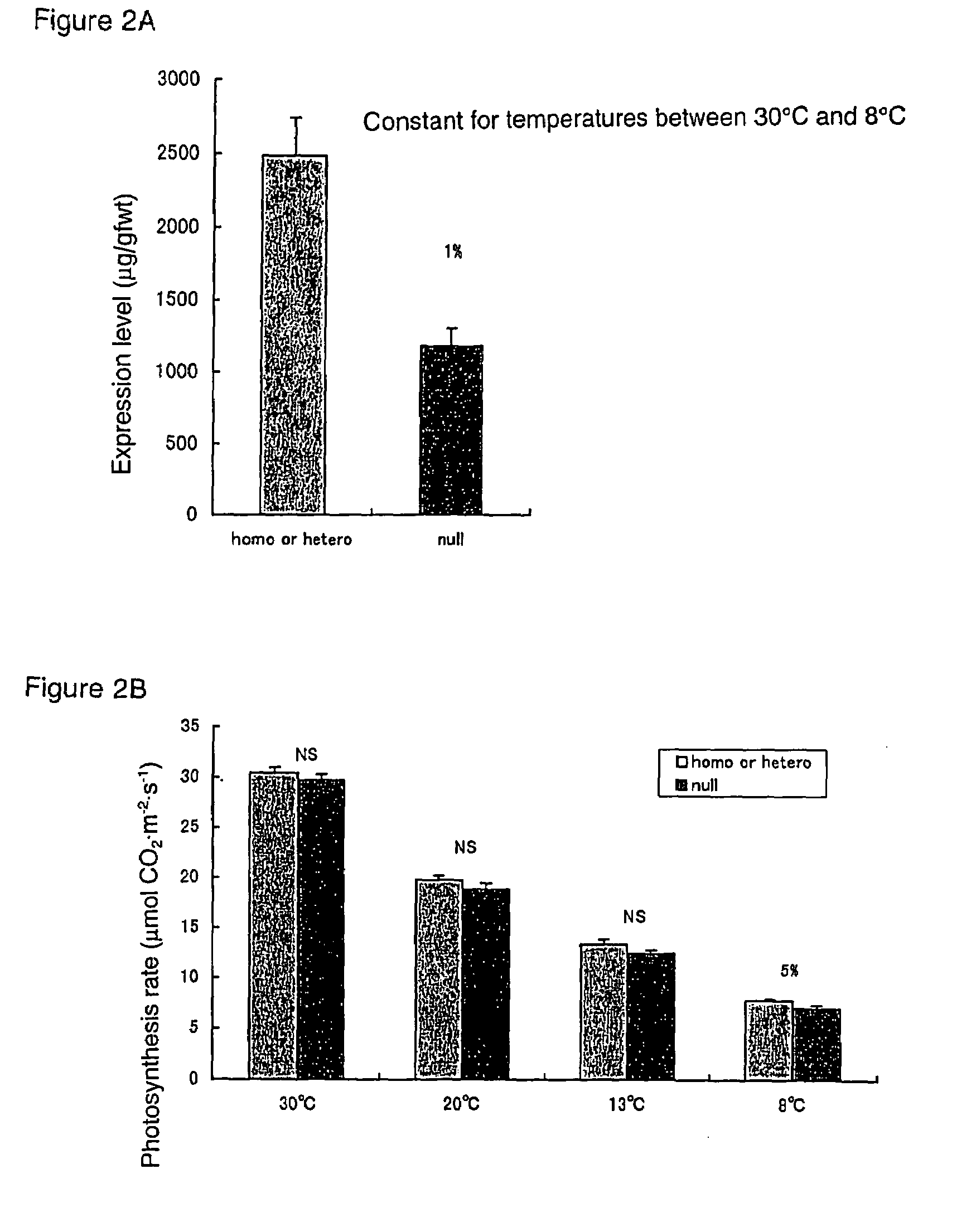 Method of elevating photosynthesis speed of plant by improving pyruvate phosphate dikinase