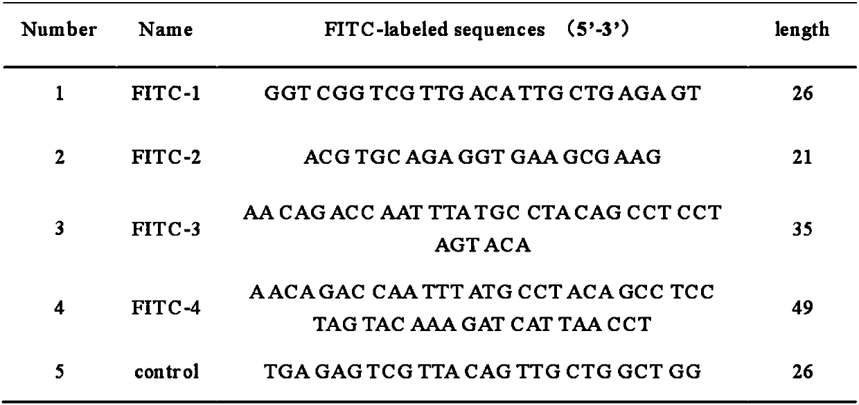 Hepatitis B covalently closed circular DNA magnetic trapping technique
