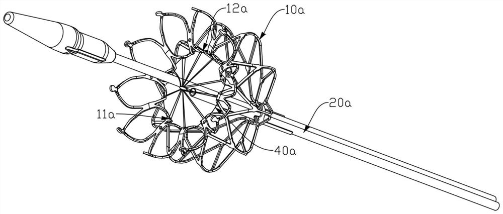 Atrial septal stoma device