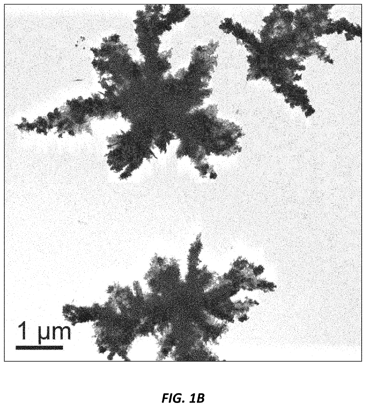 Use of nanoparticles for treating respiratory infections associated with cystic fibrosis