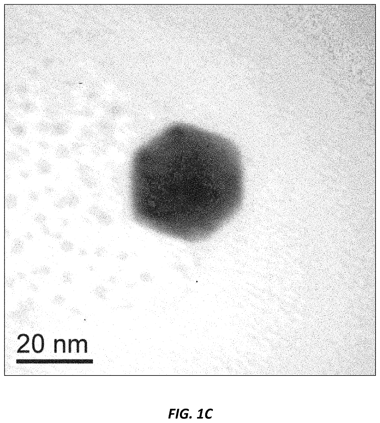 Use of nanoparticles for treating respiratory infections associated with cystic fibrosis