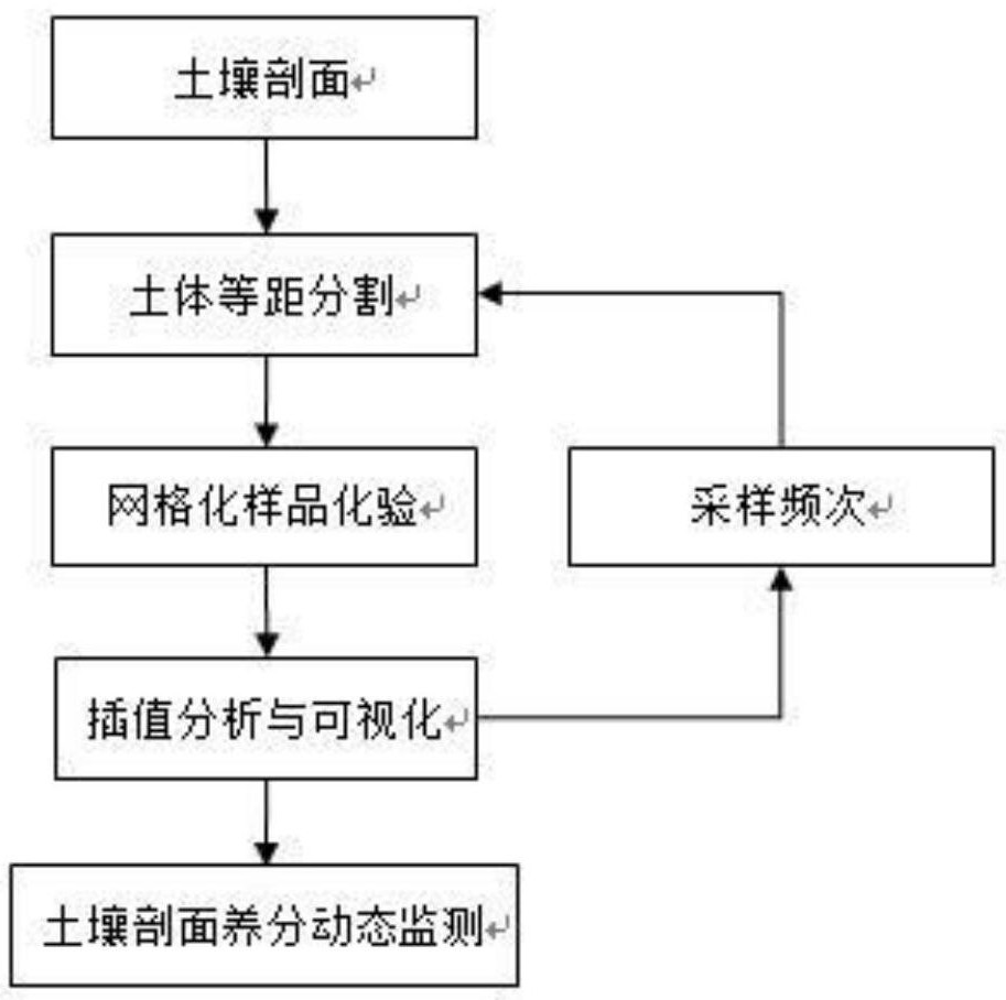 Visual analysis method for migration rule of fertilizer nutrients in soil