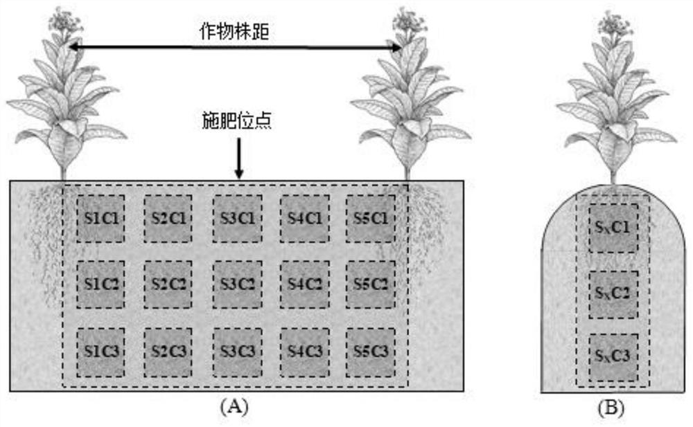 Visual analysis method for migration rule of fertilizer nutrients in soil