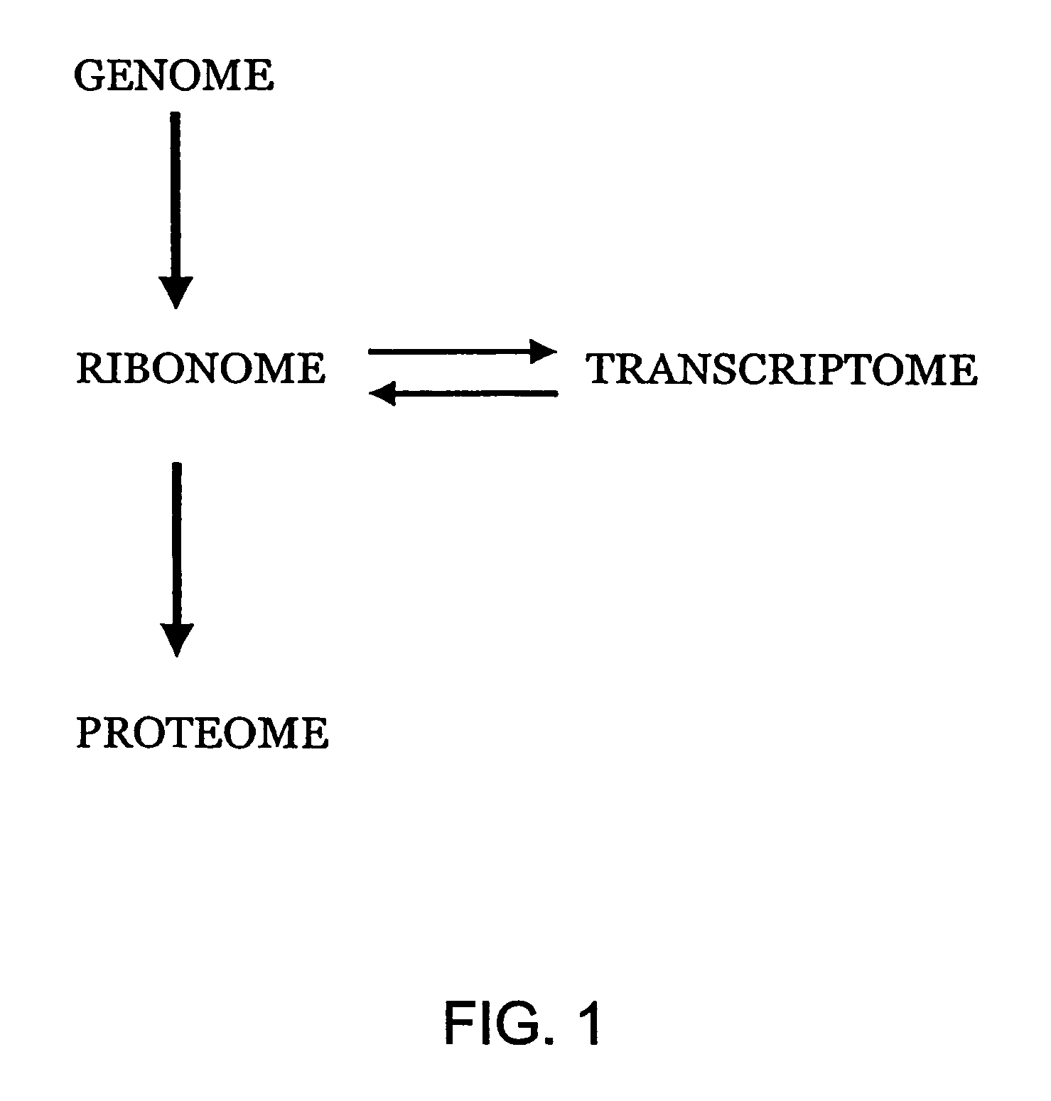 Methods for identifying functionally related genes and drug targets