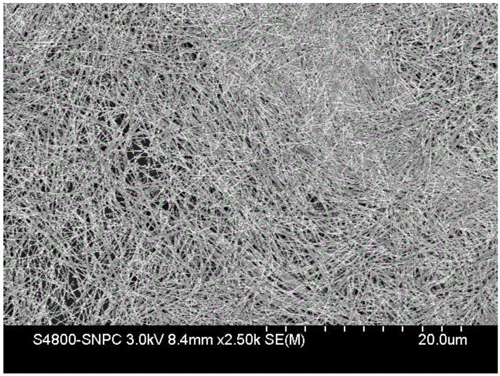 Conductive silver paste capable of being sintered at low temperature and preparation method therefor