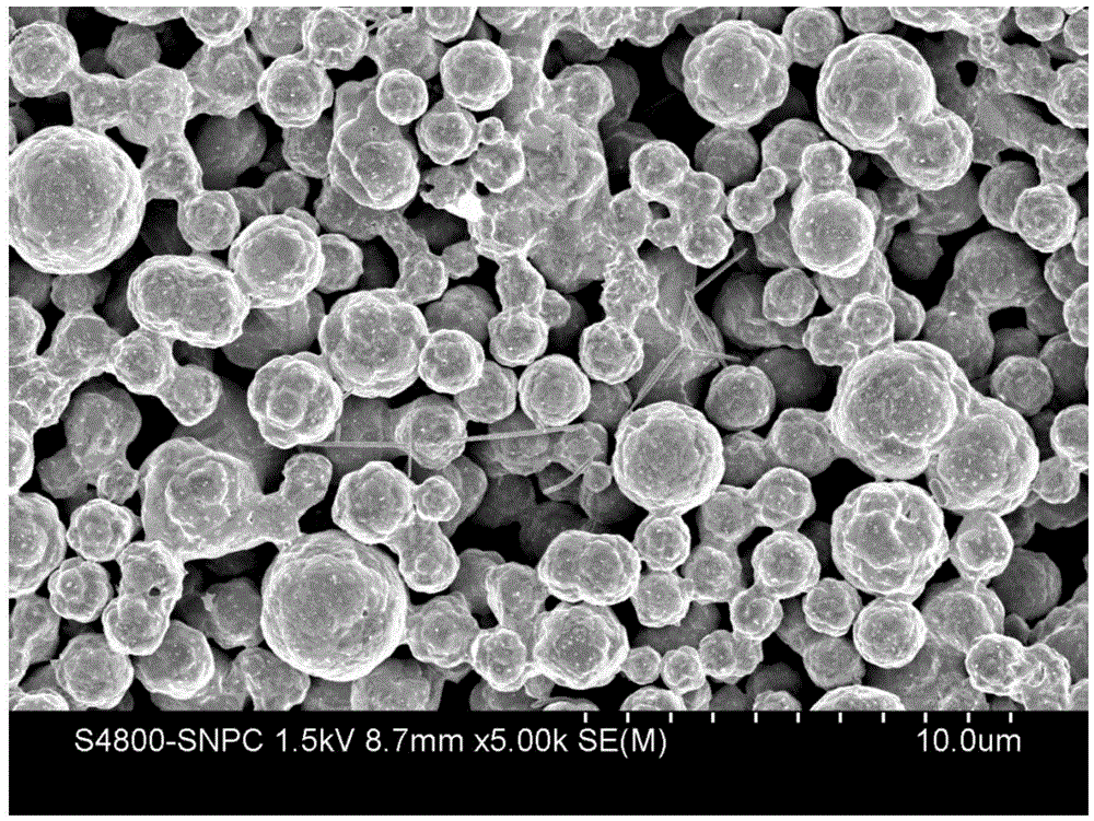 Conductive silver paste capable of being sintered at low temperature and preparation method therefor