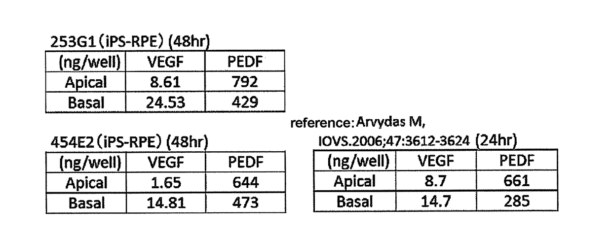 Method of producing retinal pigment epithelial cell sheet