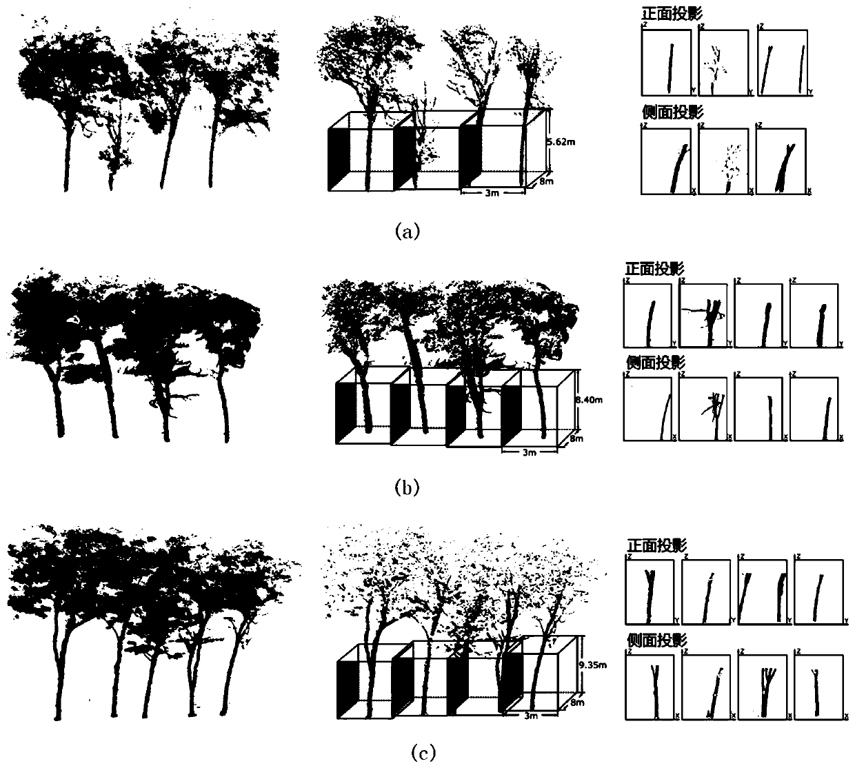 Laser point cloud-oriented single tree segmentation method based on Faster R-CNN