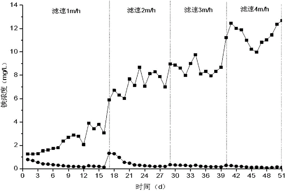 A treatment method for the biological simultaneous removal of high iron and high manganese in underground drinking water under low temperature conditions