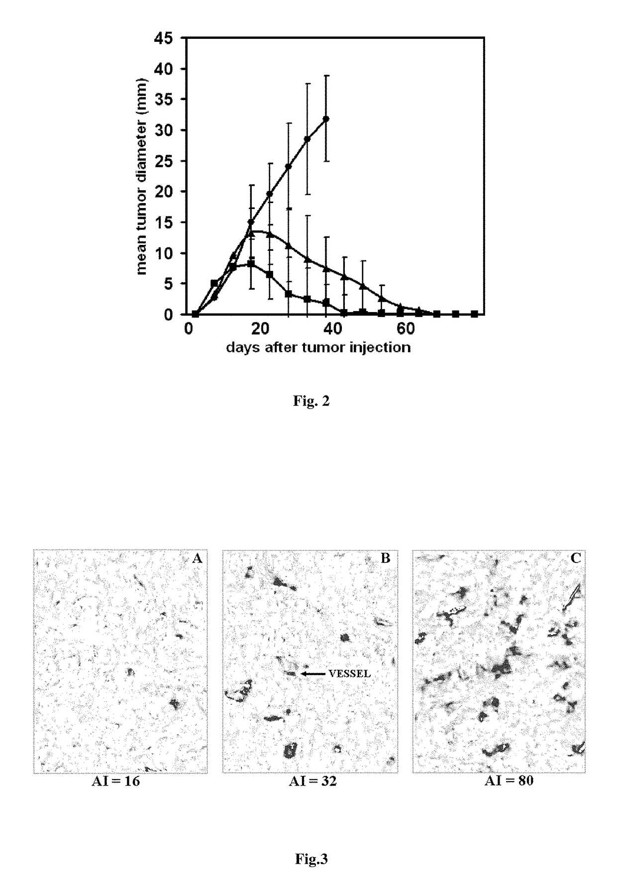 Method for producing an antitumoral vaccine based on surface endothelial cell antigens