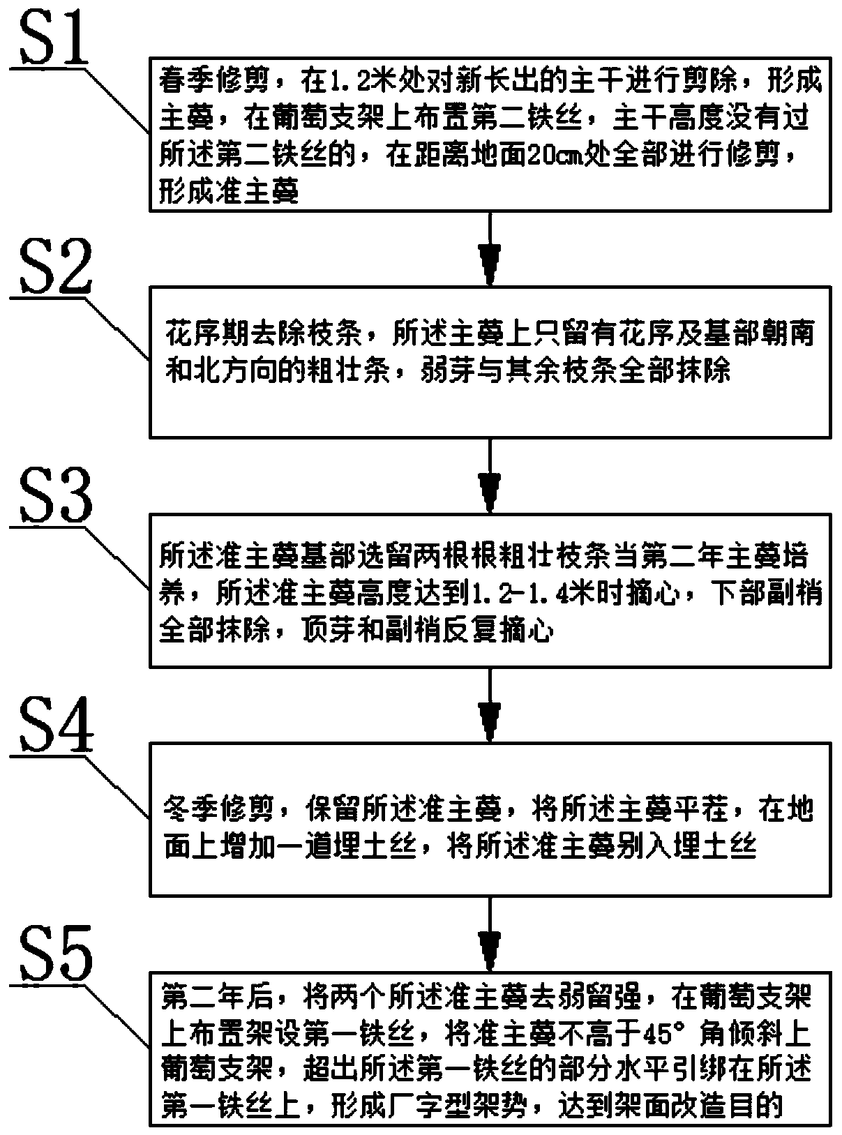 Frame type retracting and strong-branch-promoting transformation technology