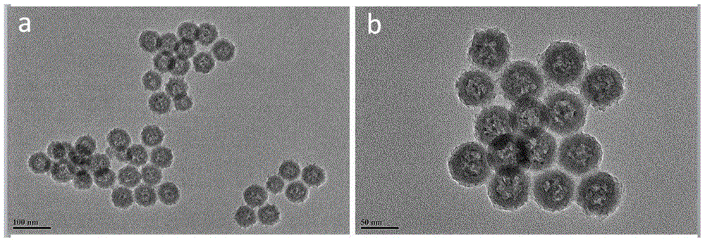 A porous se‑sio  <sub>2</sub> Nanoparticles and their preparation methods and applications