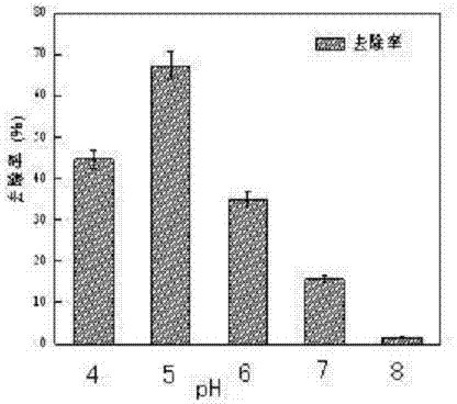 High-efficiency bioflocculant producing bacterium, screening method thereof and application of high-efficiency bioflocculant producing bacterium to treatment of sulfamethoxazole