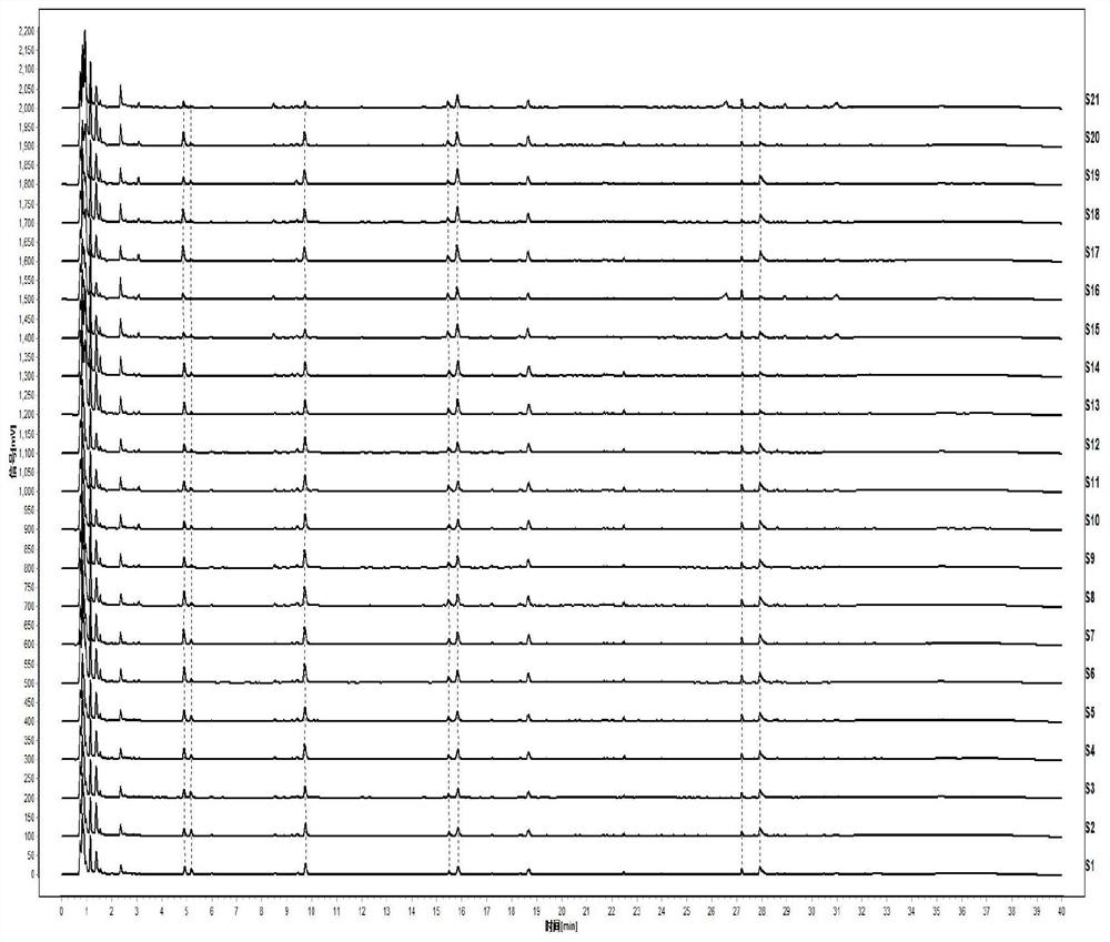 A kind of uplc characteristic map construction method and identification method of Pseudostellaria Pseudostellariae medicinal material and Pseudostellariae standard decoction