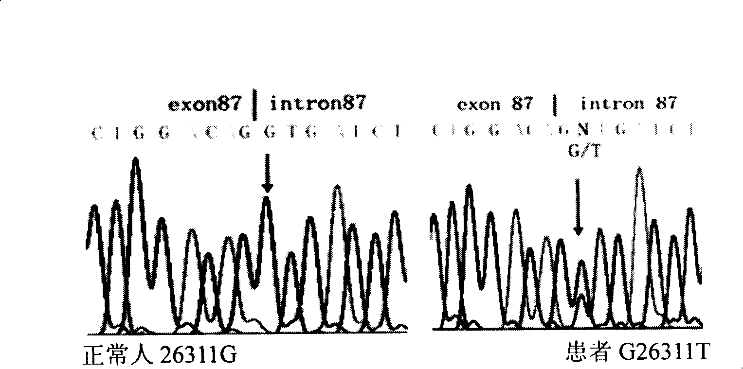 Method for detecting COL7A1 gene mutation and uses thereof