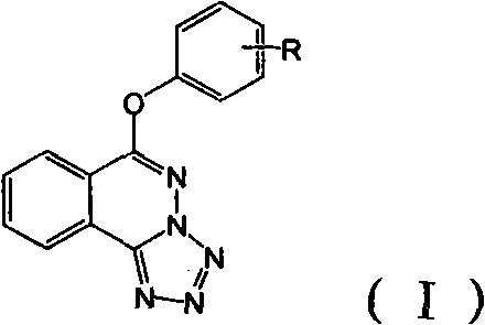 6-(substituted phenoxy)-tetrazolo[5,1-a] phthalazine derivatives as antuepileptics and their pharmaceutically acceptable salts