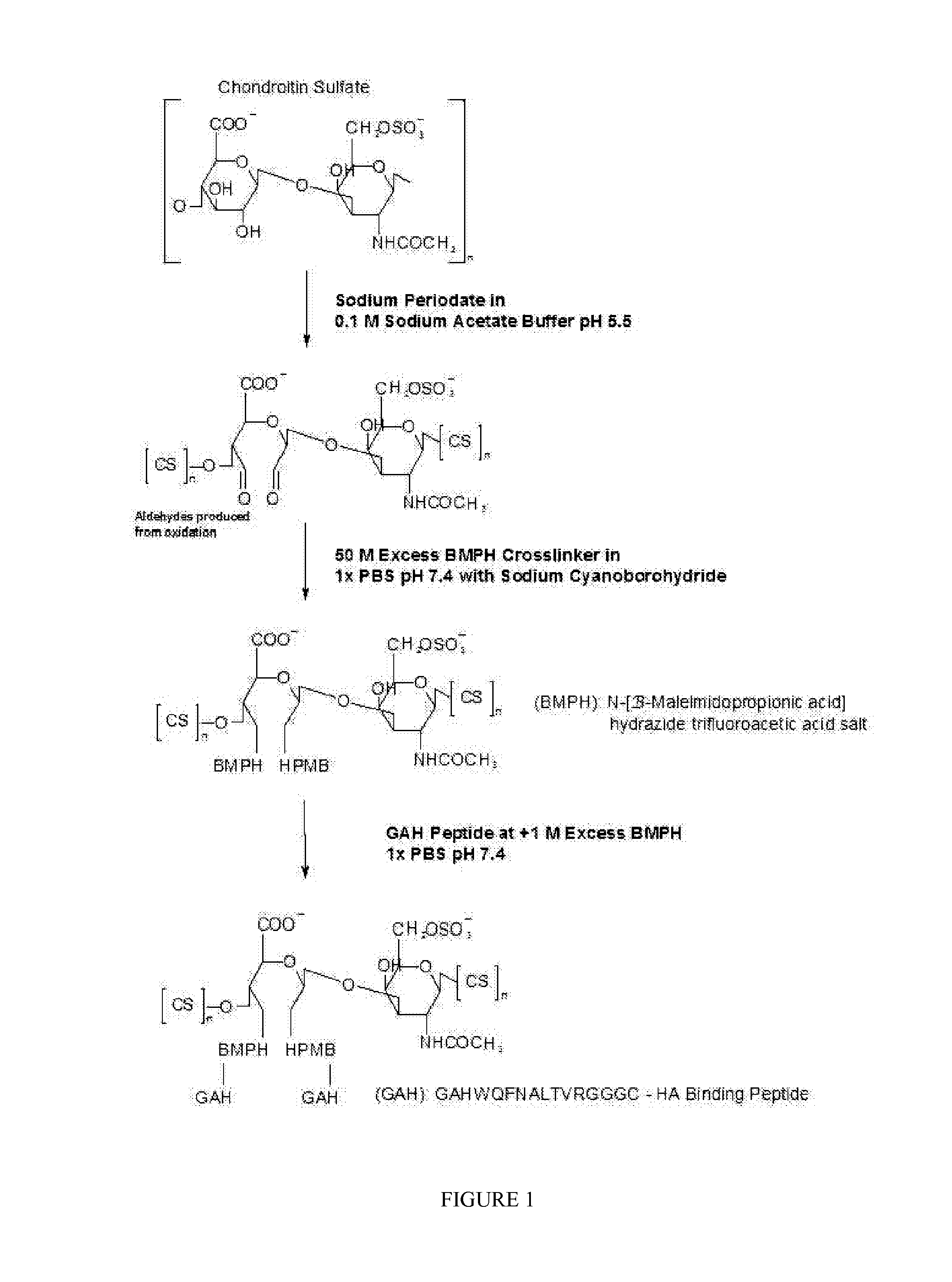 Hyaluronic acid-binding synthetic peptidoglycans, preparation, and methods of use