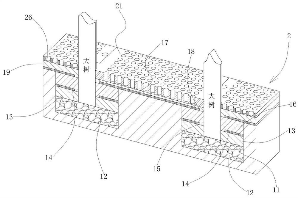 A method of planting street trees with limited surface arching