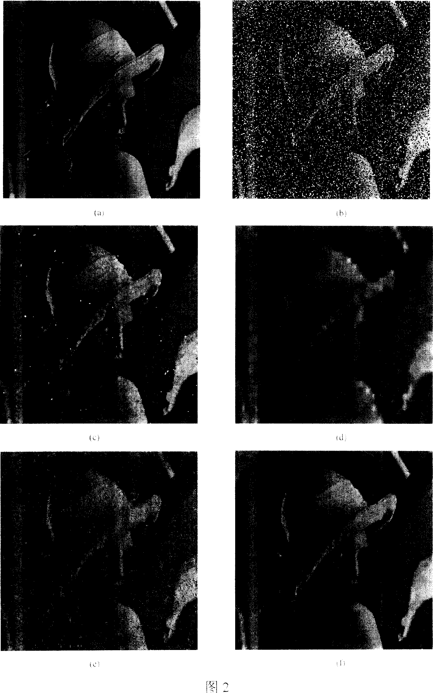 Self-adapting method for filtering image with edge being retained