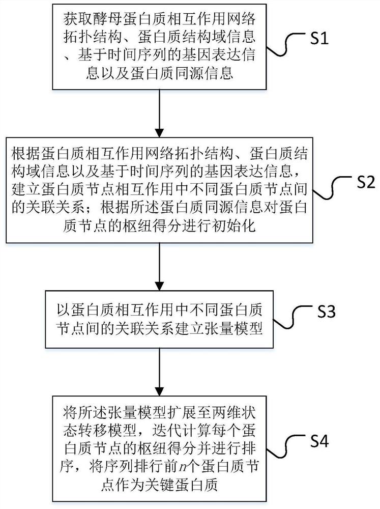 A Key Protein Identification Method Based on Tensor Random Walk