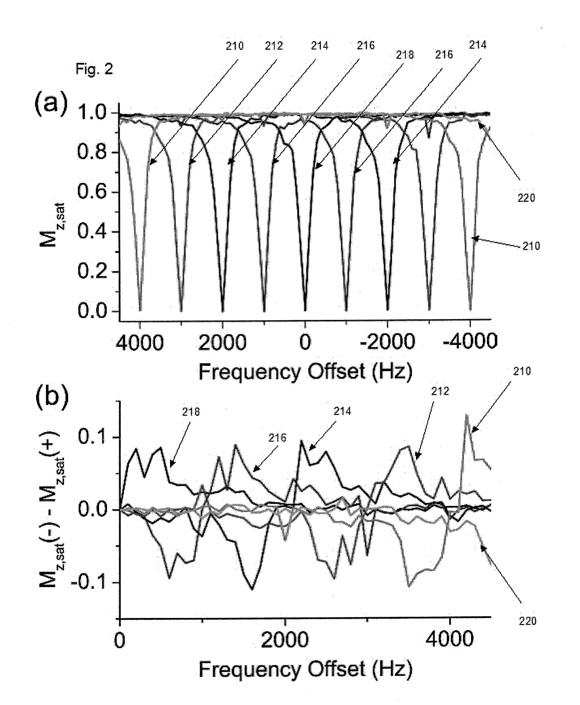 Apparatus, system, method and computer-readable medium for isolating chemical exchange saturation transfer contrast from magnetization transfer asymmetry under two-frequency RF irradiation