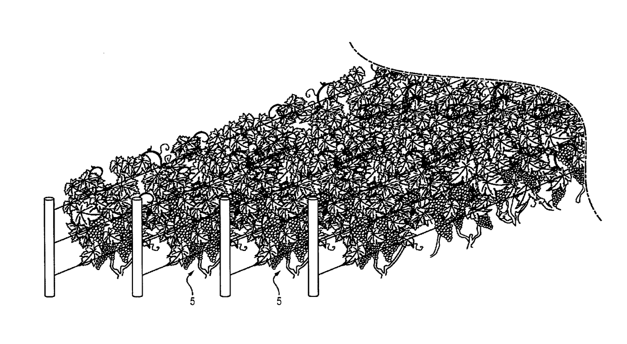 System And Method For Estimating The Yield Of A Cultivated Plot