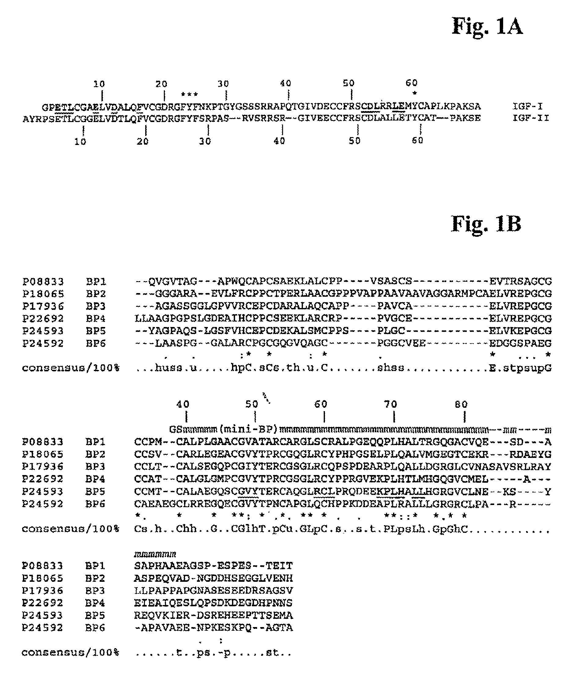 Mutants of IGF Binding Proteins and Methods of Production of Antagonists Thereof