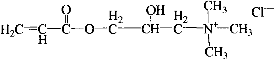 A kind of preparation method of ternary copolymerization amphoteric polyacrylamide