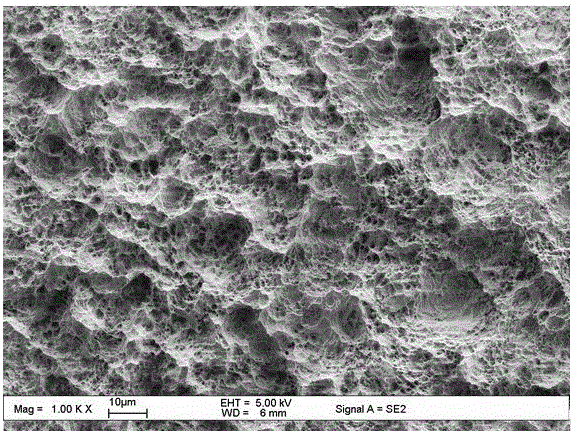 Preparation method of environment-friendly superhydrophilic dental implant activated surface