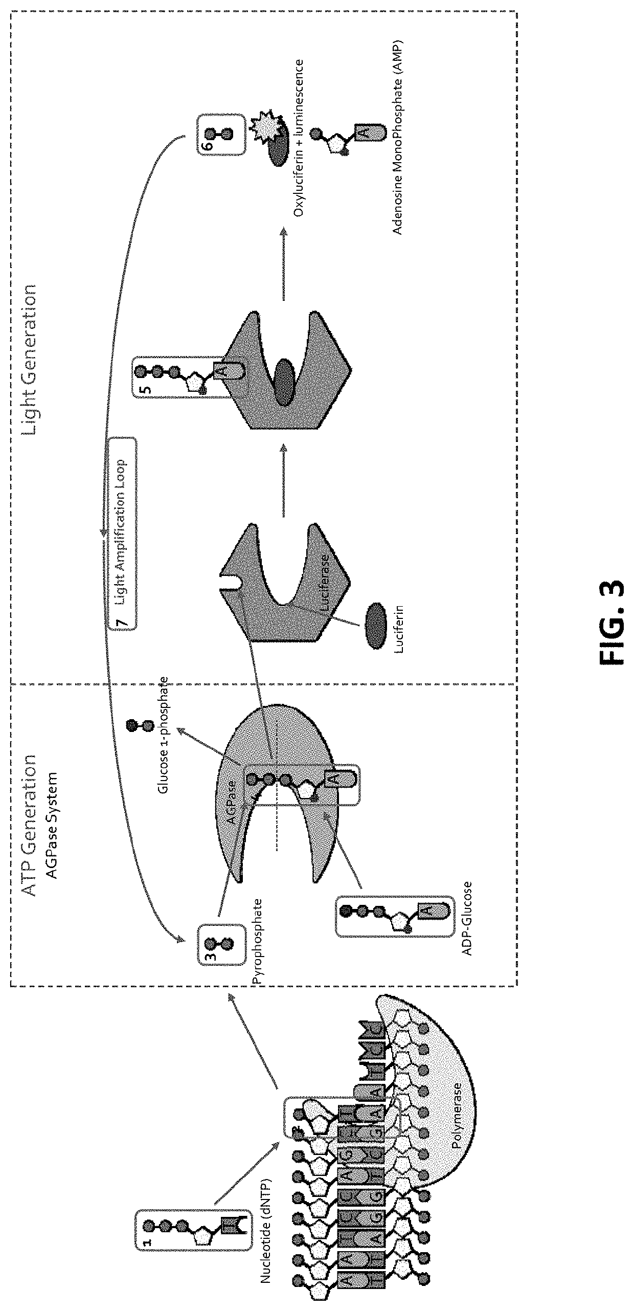 Methods and devices for detecting sars-cov-2