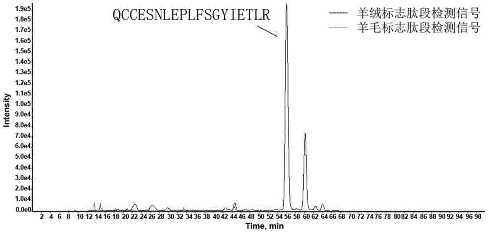 Discrimination method for cashmere and wool, and marker peptide segment used for method