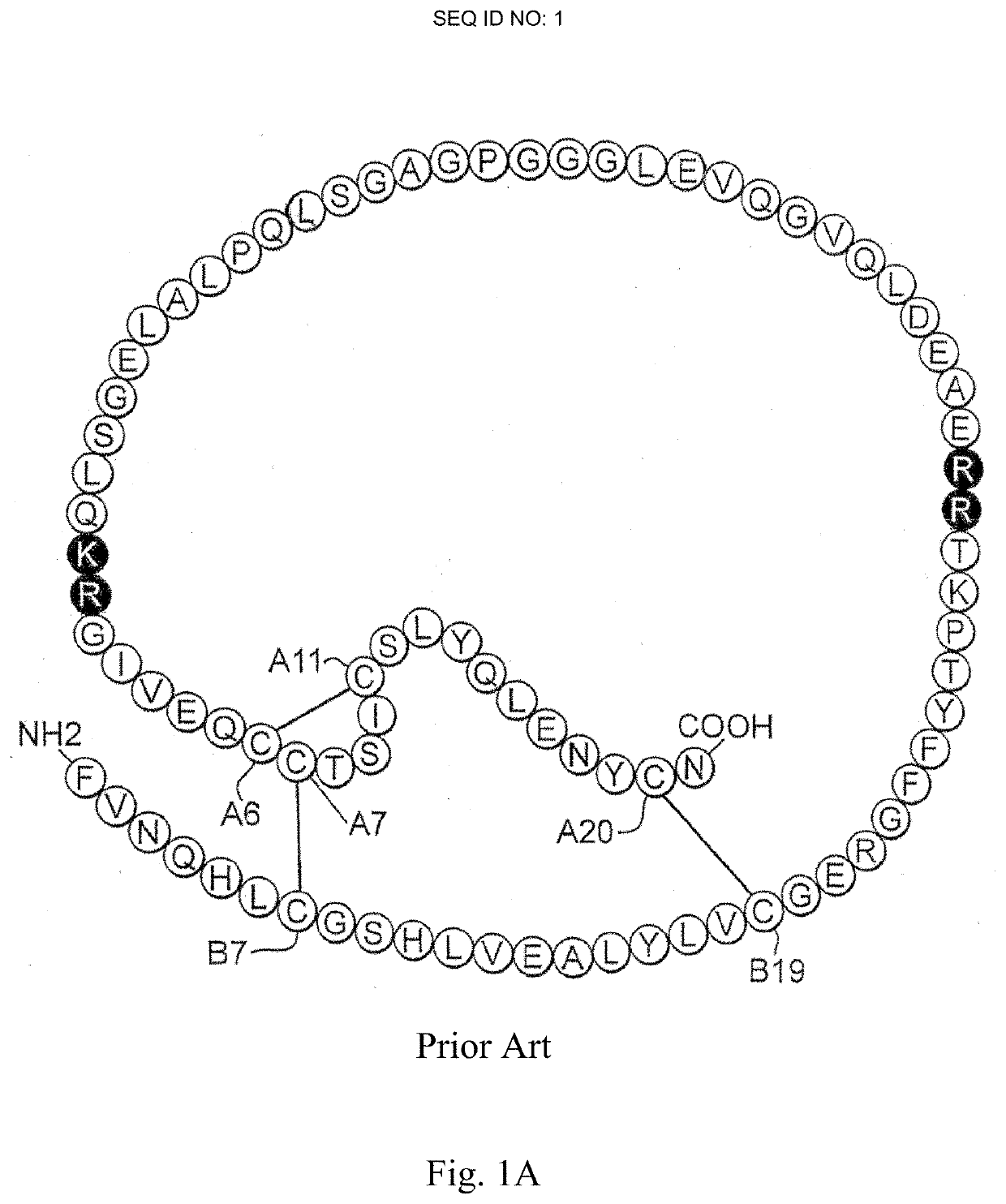 Non-standard insulin analogues