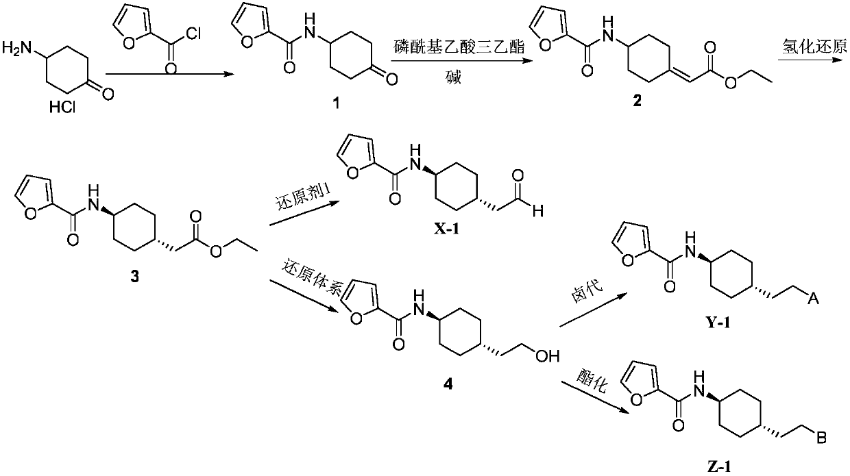 N-cyclohexyl-furan-2-formamide compound as well as preparation method and application thereof