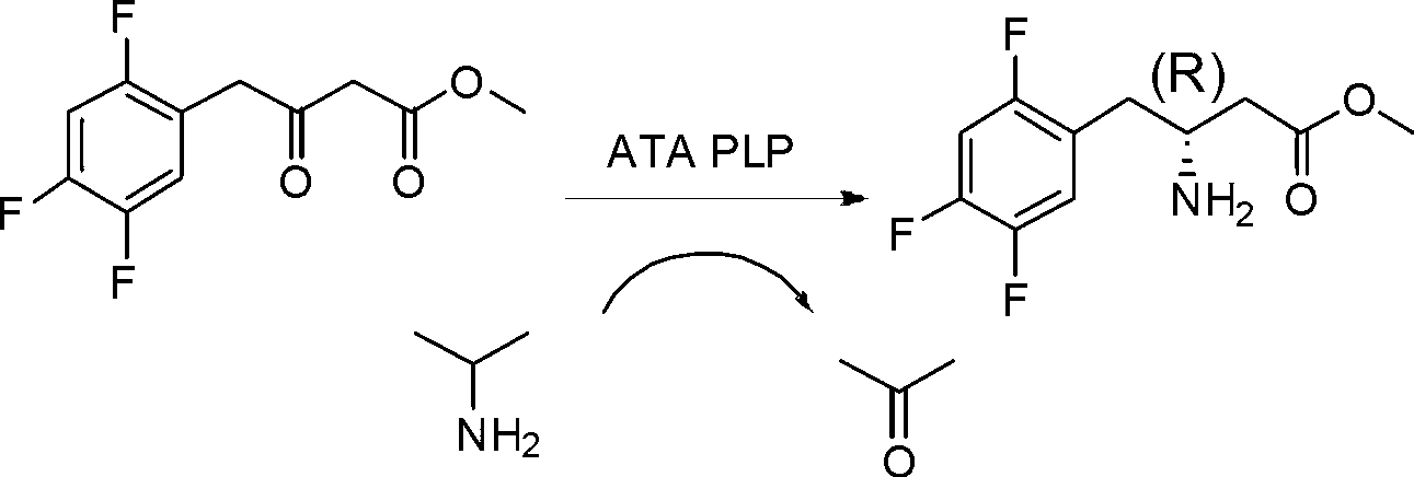 Biological preparation method of 3-amino-4-(2,4,5-trifluorophenyl)methyl butyrate