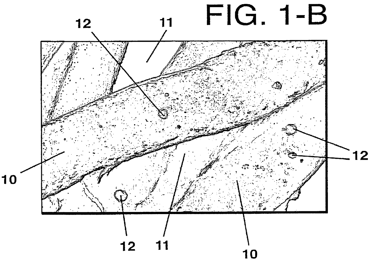 Matrix composition comprising surfactant and matrix useful for targeted delivery articles