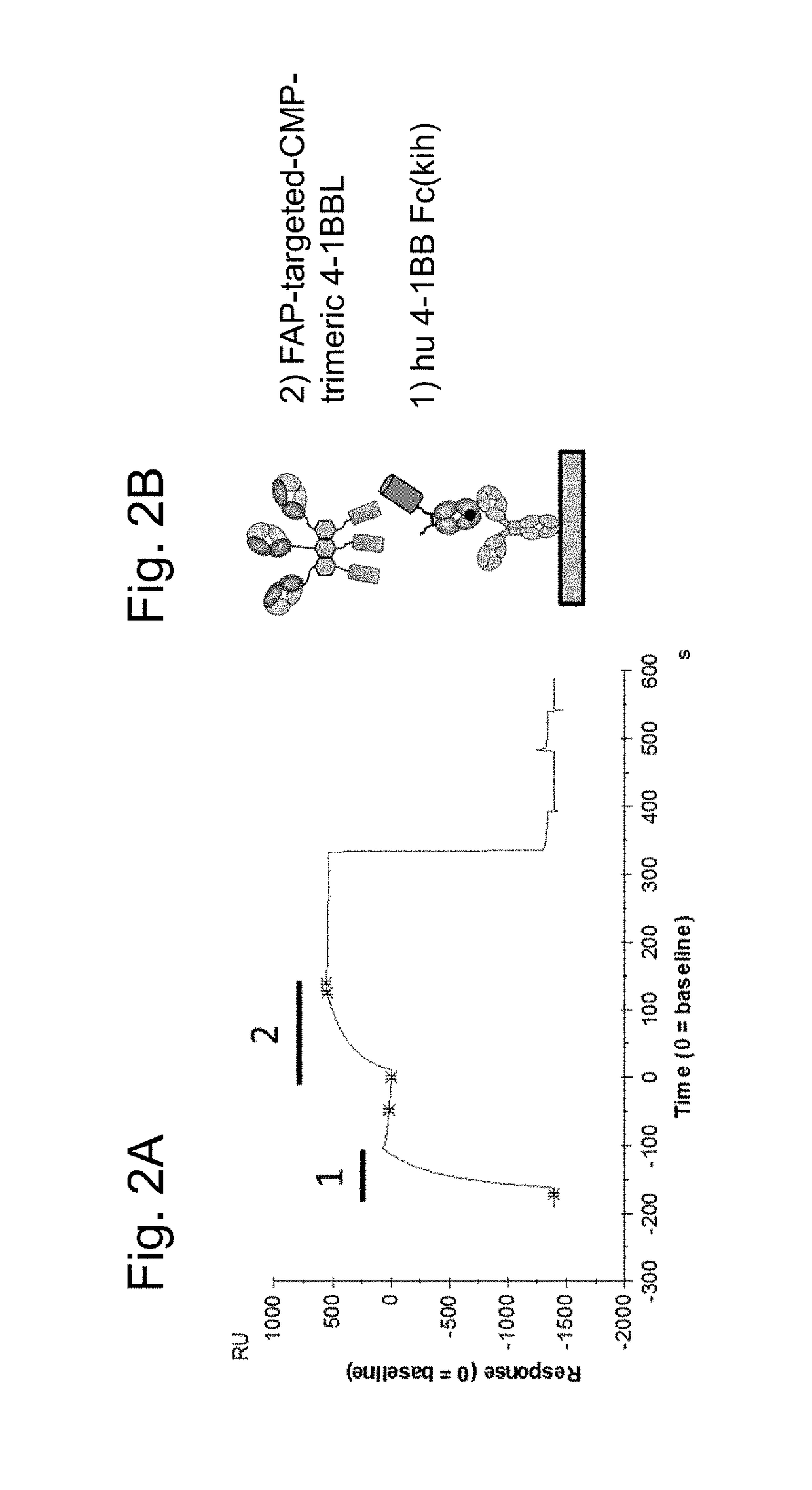 Trimeric costimulatory TNF family ligand-containing antigen binding molecules