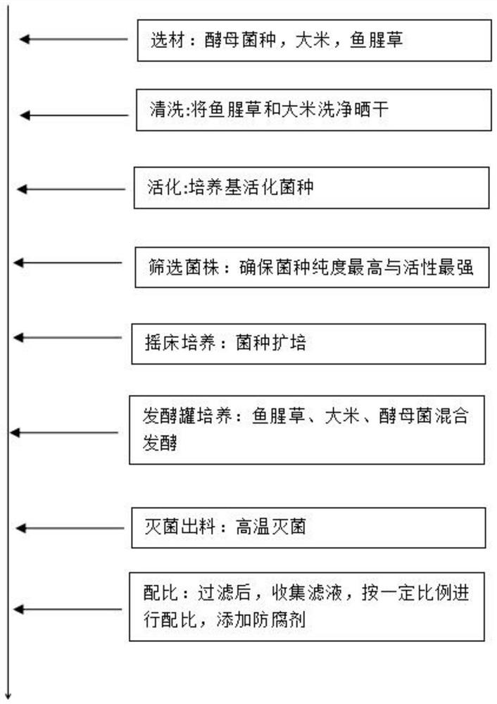 Preparation method of herba houttuyniae and rice fermentation product filtrate composition