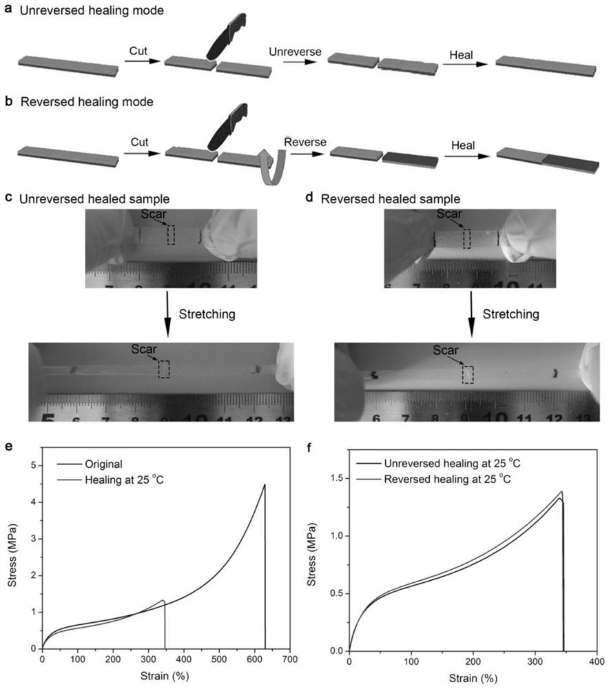 A self-healing elastomer-based reconfigurable actuator and its preparation method