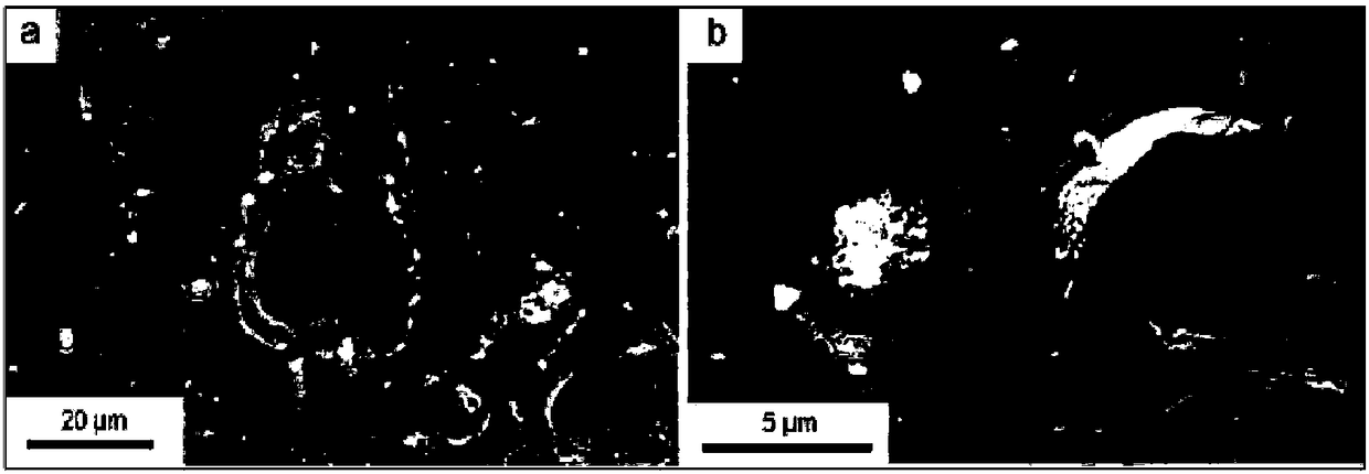 Method for preparing lightweight environment-friendly high-near infrared emissivity material and application thereof