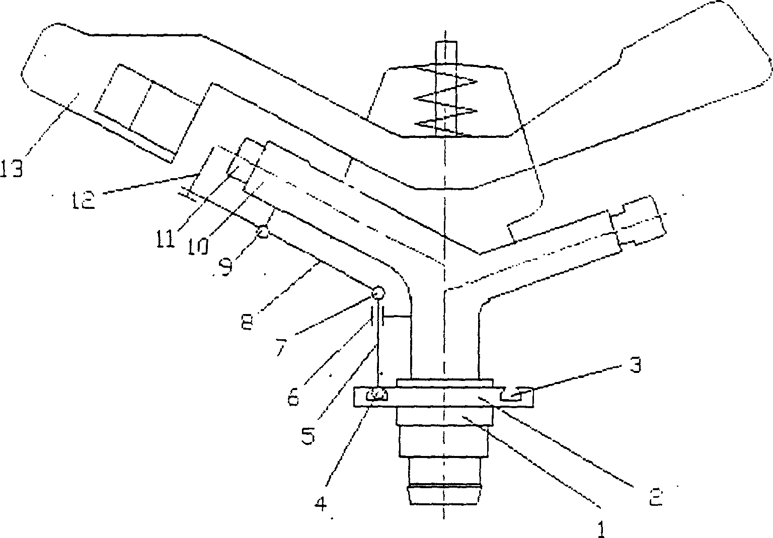 Rocking-arm type nozzle with non-circular spraying zone