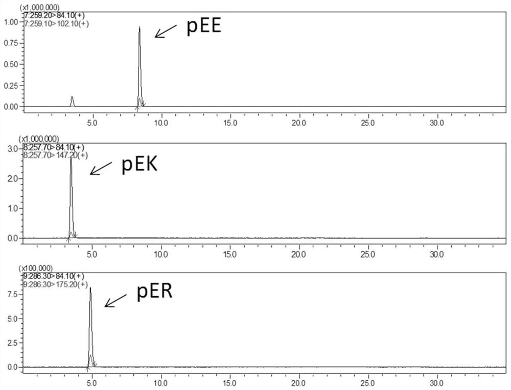 A kind of pea peptide with auxiliary hypoglycemic function and preparation method thereof