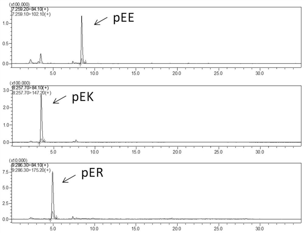 A kind of pea peptide with auxiliary hypoglycemic function and preparation method thereof