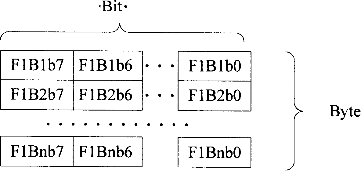 Method for simultaneously loading multiple FPGA using CPU
